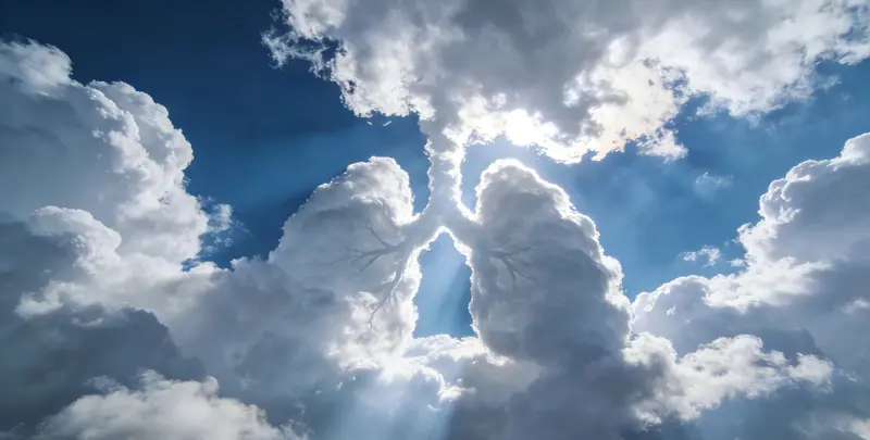 郑州肺癌13基因突变检测（组织）图片1