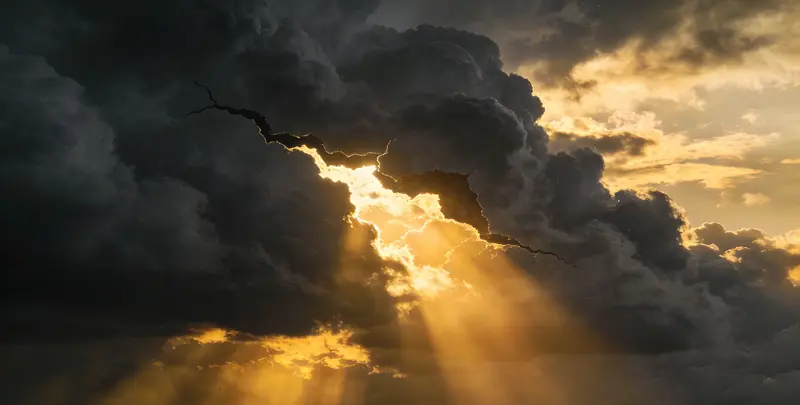 郑州肺癌靶向120基因检测（组织）图片1