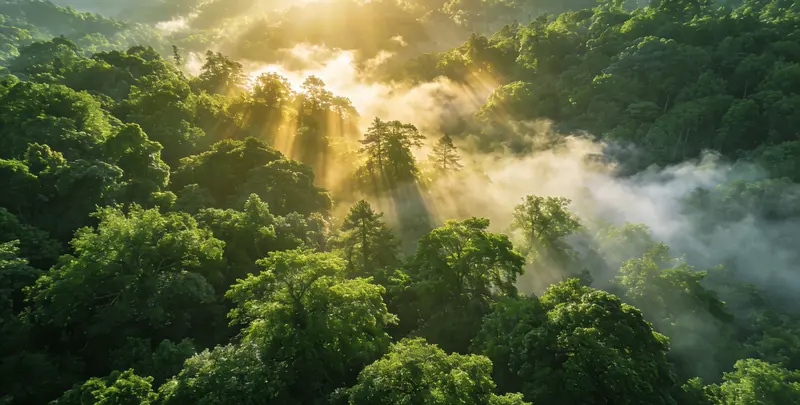 郑州肺癌120基因ctDNA突变检测(血液）图片1